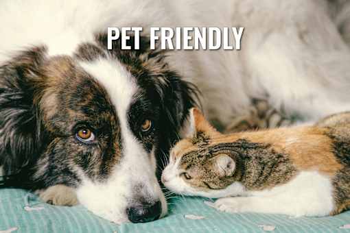 A dog and a cat are lying down together with the text "PET FRIENDLY" above them.