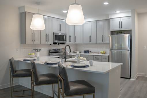 Kitchen in a One Bedroom Apartment in Owings Mills