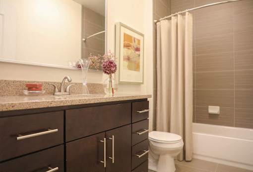 Mocha Cabinet Bath at Metro Crossing Apartments, Owings Mills, Maryland