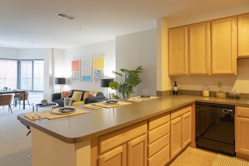 Large kitchen in a Baltimore Apartment