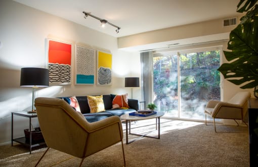 Living Room Area