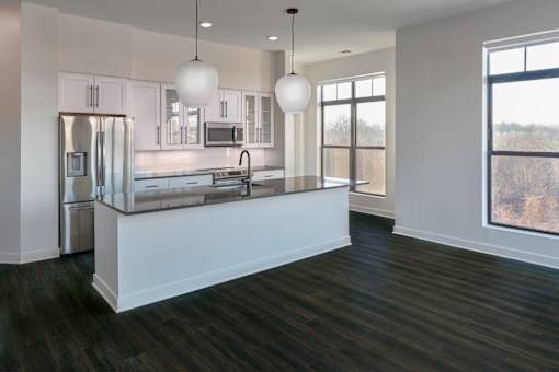Modern kitchen in penthouse apartment in Owings Mills