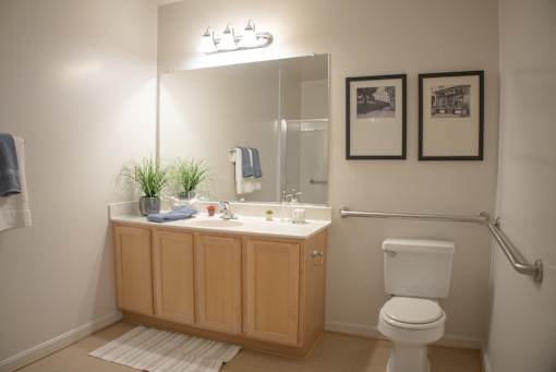 Bathroom with a Large Vanity and Mirror