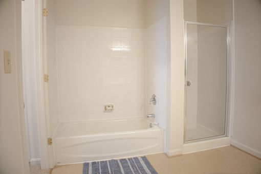 Primary Bathroom with Tub and Shower