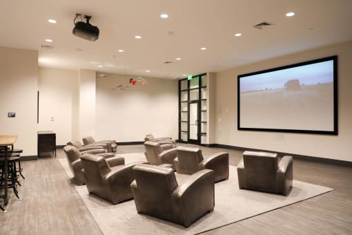 Theatre Room at The Met at Metro Centre Apartments, Owings Mills, MD 21117