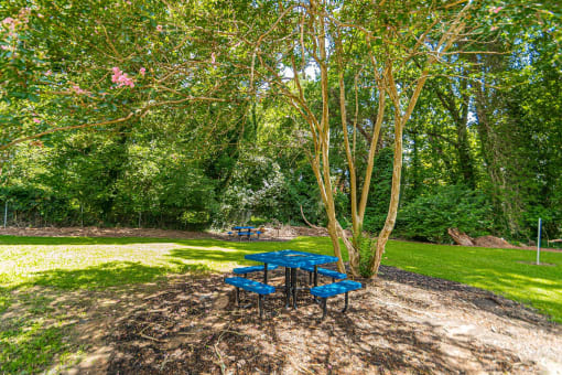 A picnic table and benches at Pines at Lawrenceville Decatur 30033