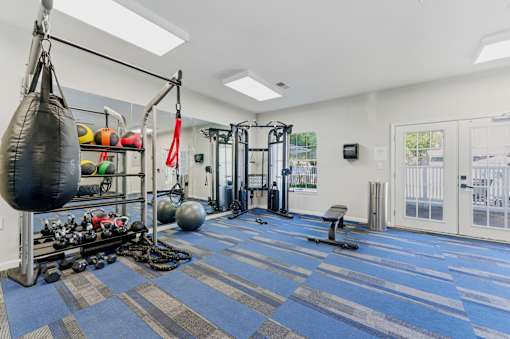 A gym with a punching bag, weights, and exercise equipment.