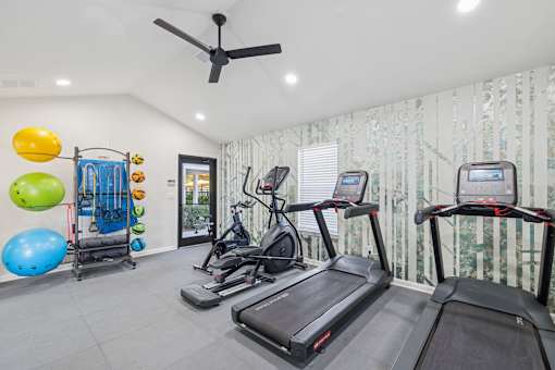 A gym with treadmills, exercise balls, and a fan.