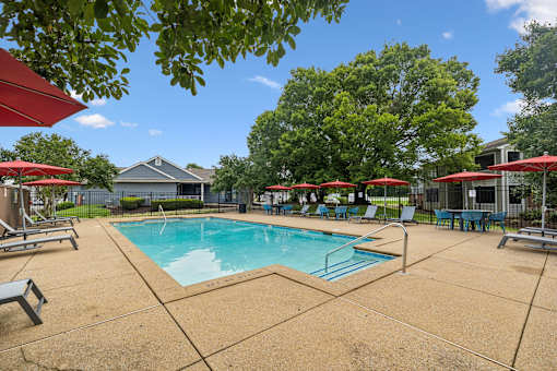 A pool surrounded by trees and umbrellas.