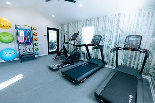 A home gym with treadmills, elliptical machines, and exercise balls.