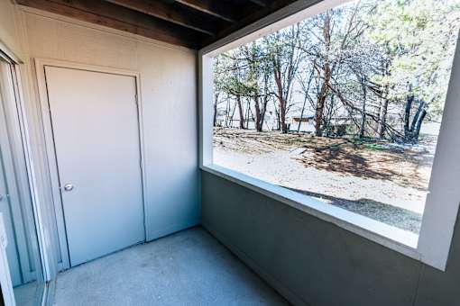 A room with a white door and a window showing a forest.