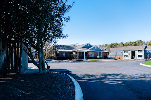 A tree stands next to a building with a blue roof.