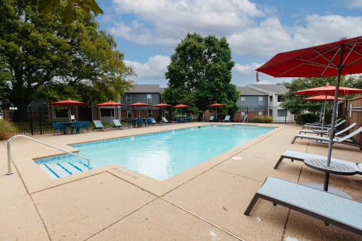 our apartments have a swimming pool with chairs and umbrellas