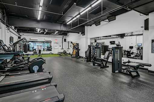 A gym with treadmills, weights, and exercise equipment.