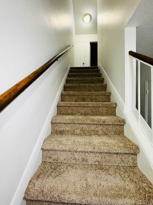 A staircase with a carpeted runner and wooden handrails.