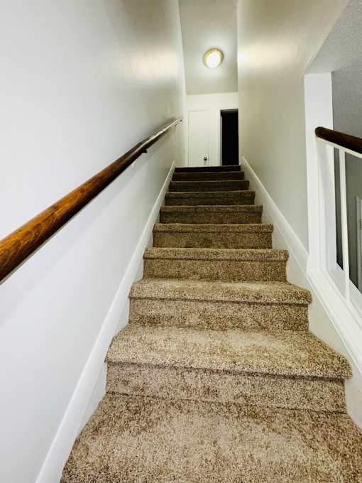 A staircase with a carpeted runner and wooden handrails.