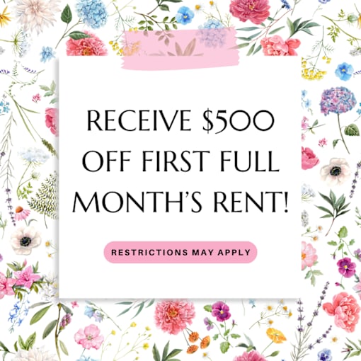 A promotional image offering $500 off the first full month's rent.