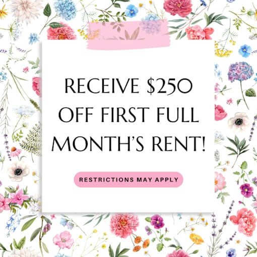 A promotional image offering $250 off the first full month's rent.