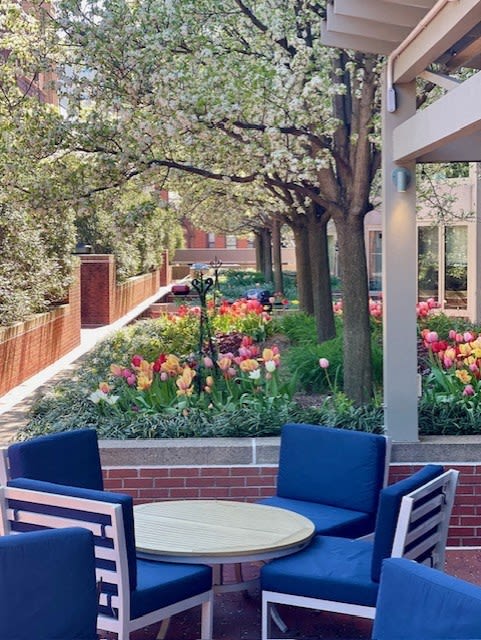 a patio with blue chairs and a white table