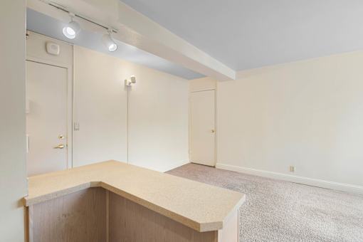 a empty living room with a counter top and a closet