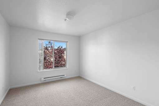 Plush Carpeting at Summer Creek Apartments, Tigard, 97223