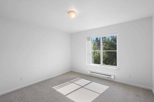 a white room with a window and carpet at Summer Creek Apartments, Tigard, OR