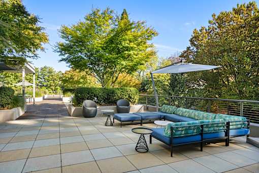 a terrace with couches and chairs and trees