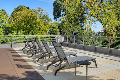 a row of chaise lounge chairs on a patio with trees