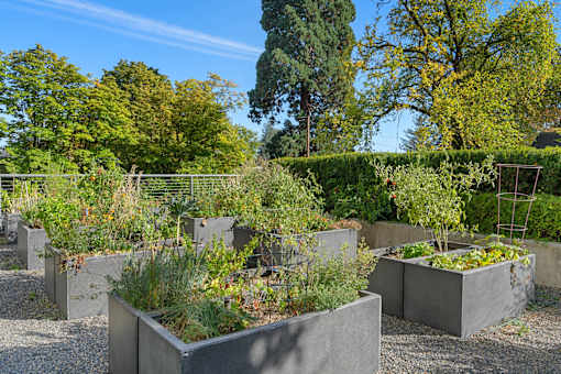 a group of concrete boxes with plants in a garden