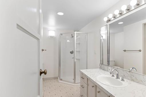 a bathroom with a sink and a shower