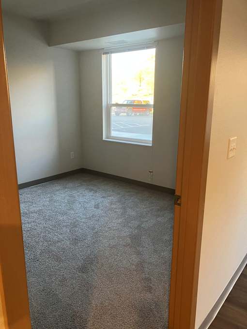 A room with a carpeted floor and a window.