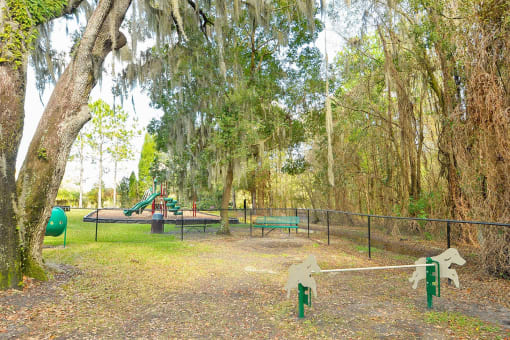 Bark Park at Madison Park Road, Plant City, FL