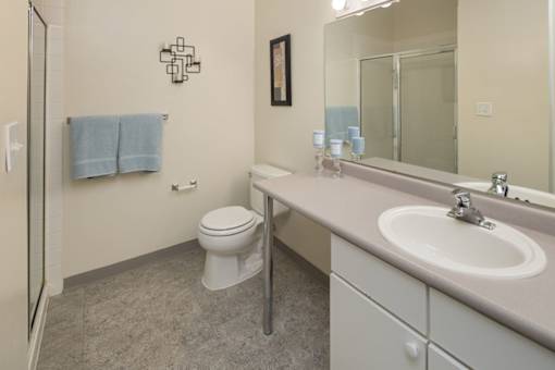 A bathroom with a toilet, sink, and mirror.
