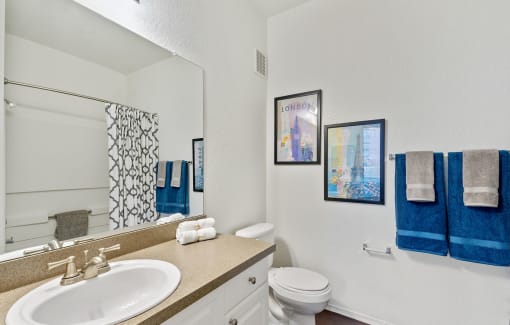 Luxurious Bathroom at Madison Park Road, Plant City, FL, 33563