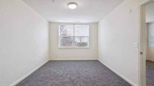 A room with a carpeted floor and a window.