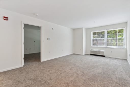 a bedroom with white walls and carpet
