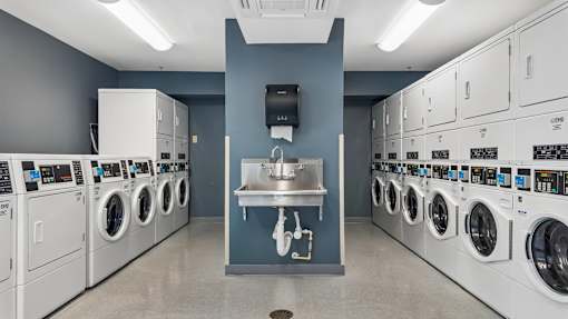 A row of washing machines are lined up in a laundry room.