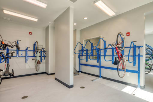 Van de Vyver Bike Room & Dog Wash