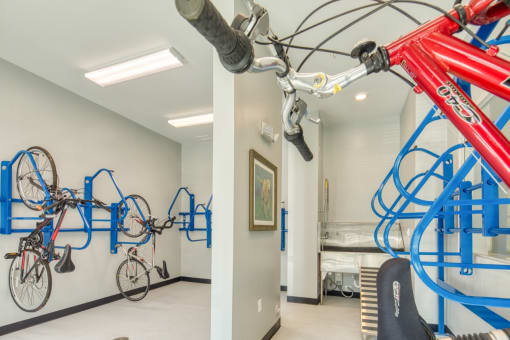Van de Vyver Bike Room & Dog Wash