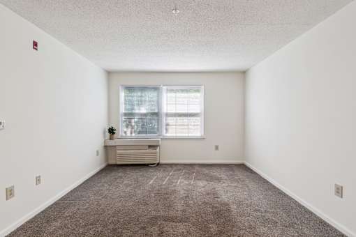 A room with a window and a small table with a plant on it.