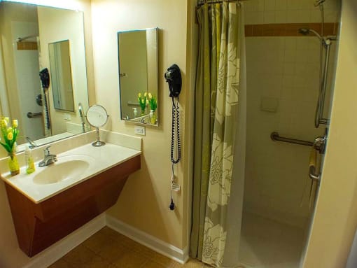 Bathroom with Features like Handrails and Accessible Sink