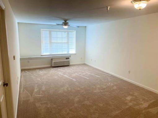 Spacious living room inside a 2-bedroom apartment at Park View at South Pantops, featuring wall-to-wall carpet, large windows with natural light, and individually controlled heating and air conditioning.