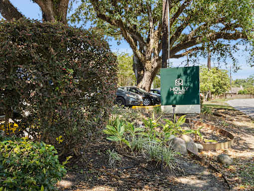 A green sign with the text "HOLLY" is in front of a tree.