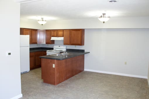 Midtown Triplex Kitchen