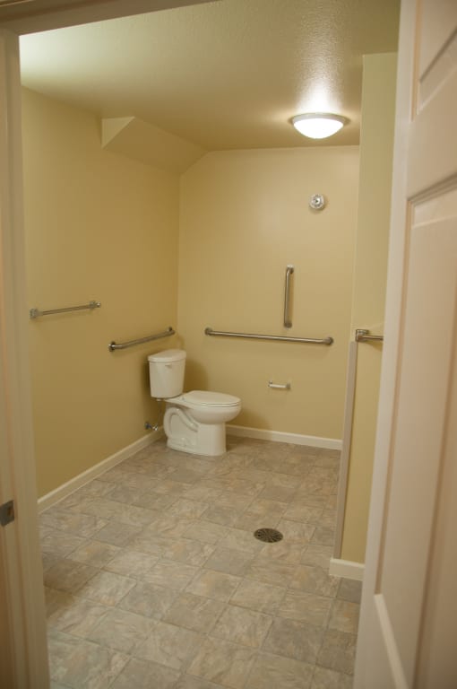 WZP Accessible