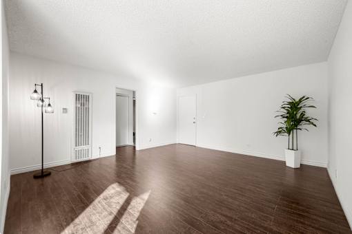 A room with a plant and a lamp.