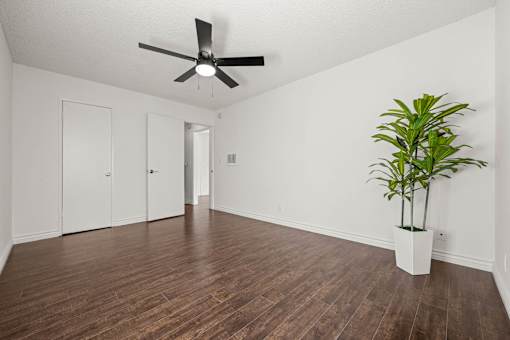 A room with a ceiling fan and a plant in a white pot.