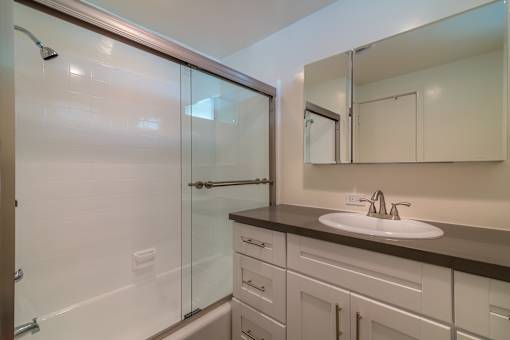 A modern bathroom with a walk-in shower and a sink.