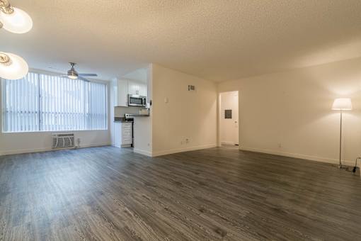 Living room and dining area
