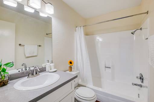A bathroom with a white toilet, sink, and shower.
